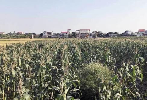 Att skapa ett outdoor-märke - Del 14