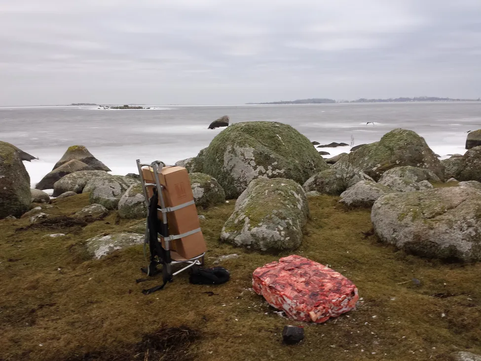 Klicka för att förstora