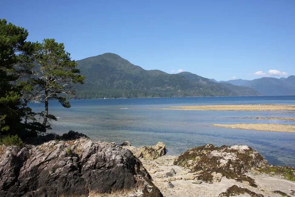 Klicka för att förstora