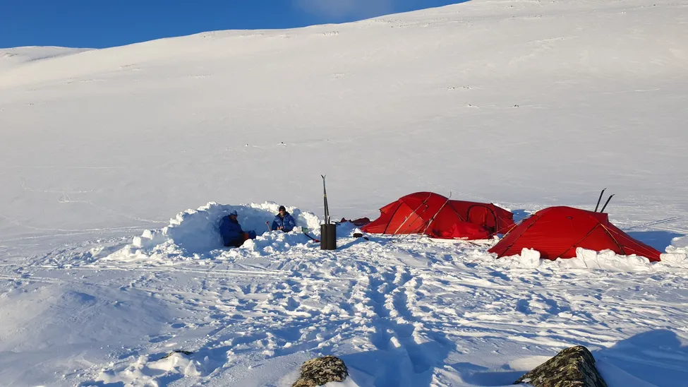 Klicka för att förstora