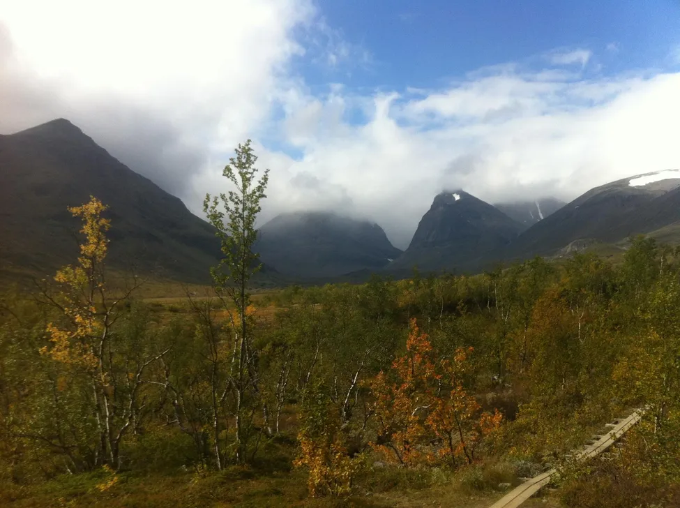 Klicka för att förstora