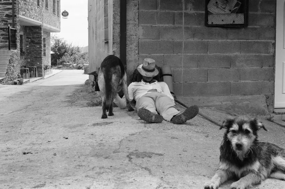 Klicka för att förstora