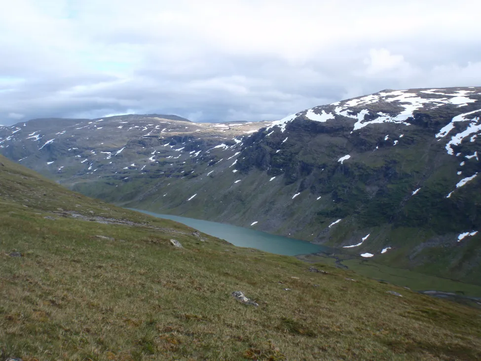 Klicka för att förstora
