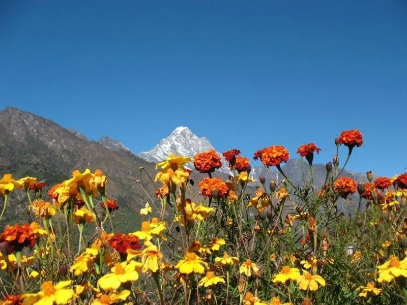 Klicka för att förstora