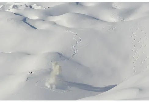 Rekordmånga går en lavinutbildning