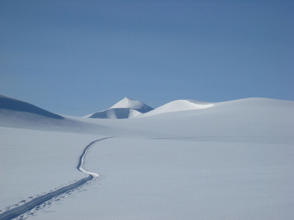 Klicka för att förstora
