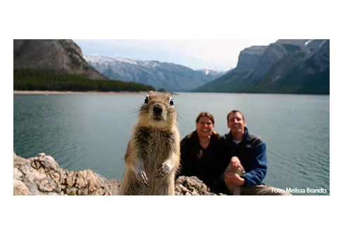 Kom ihåg fototävlingen! - Ta en 