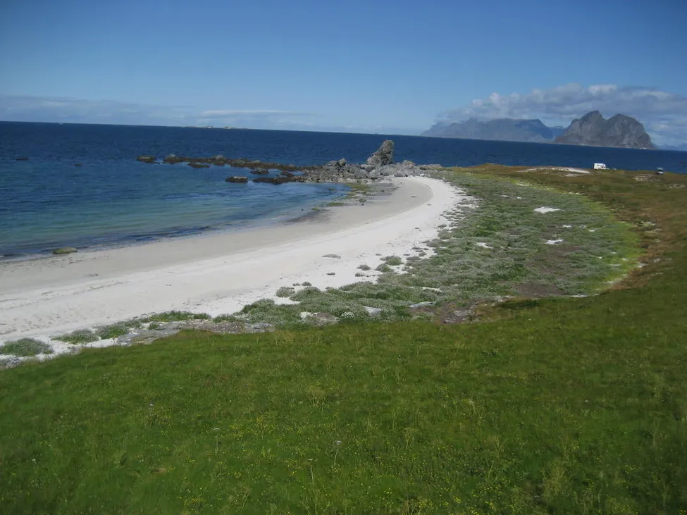 Klicka för att förstora