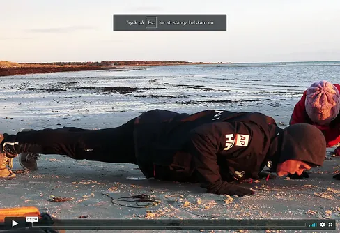 Åldrande, livslängd och hälsa