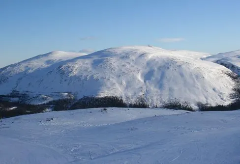 Bättre lycka nästa år...