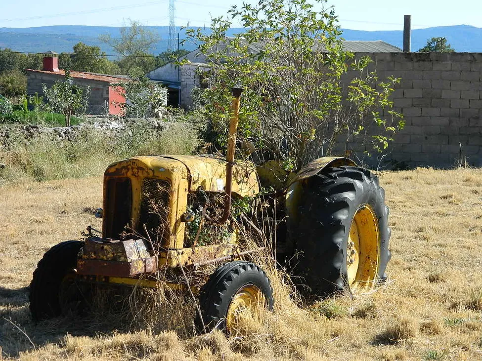 Klicka för att förstora