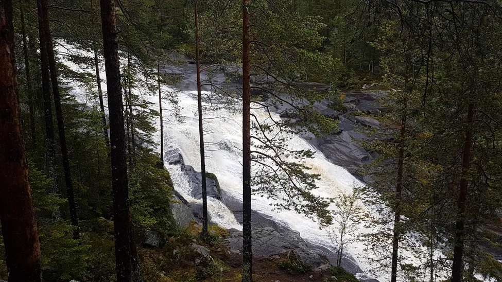 Klicka för att förstora