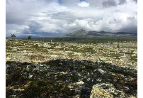 Artikeltävlingen är avgjord