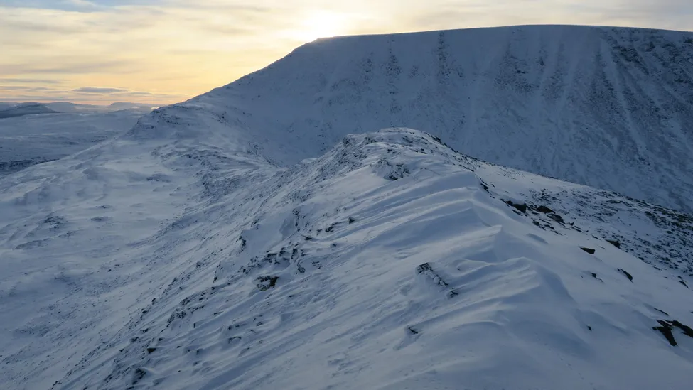Klicka för att förstora
