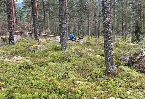 Statsanslagen till friluftsorganisationerna klar