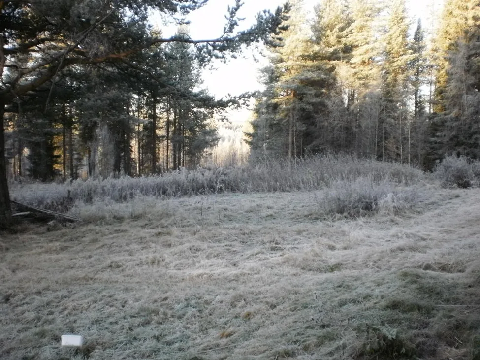 Klicka för att förstora