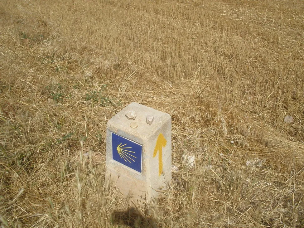 Klicka för att förstora