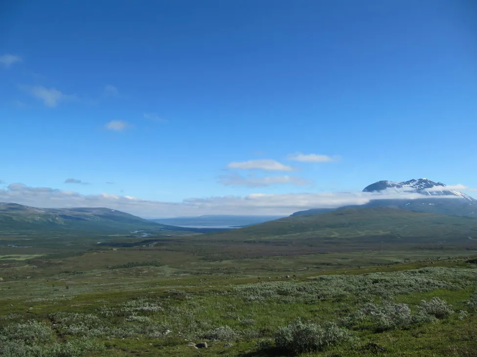 Klicka för att förstora