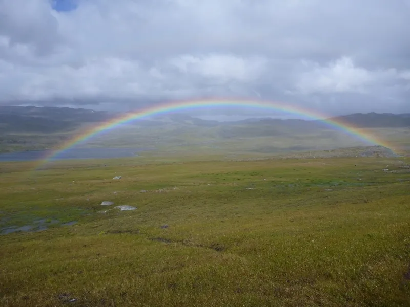 Klicka för att förstora
