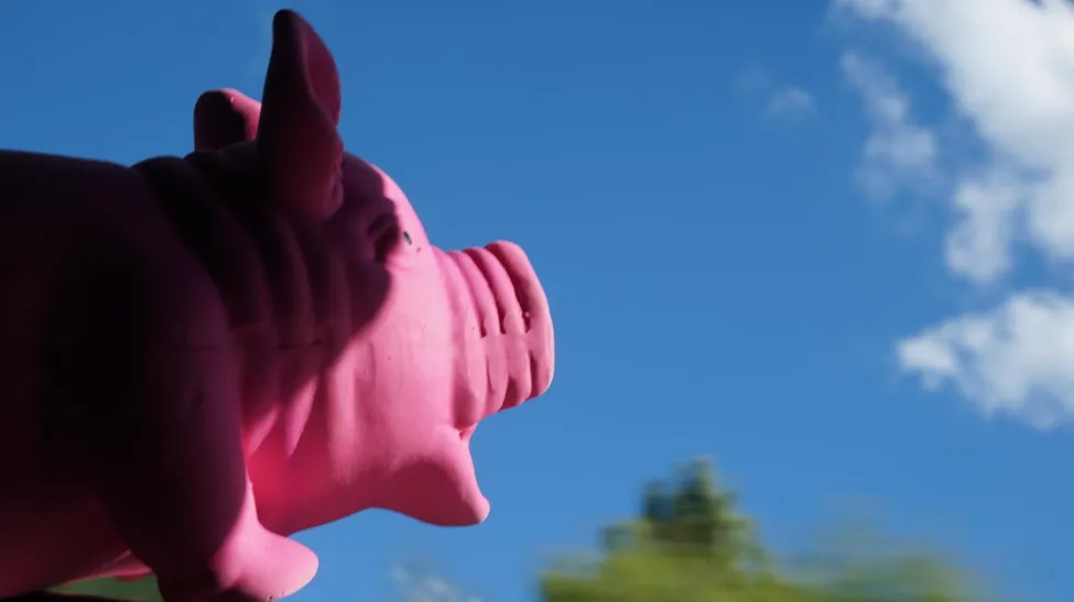 Klicka för att förstora