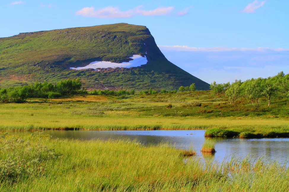 Klicka för att förstora