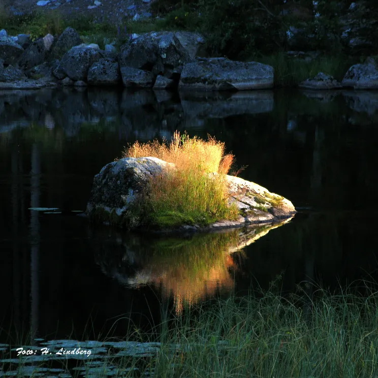 Klicka för att förstora