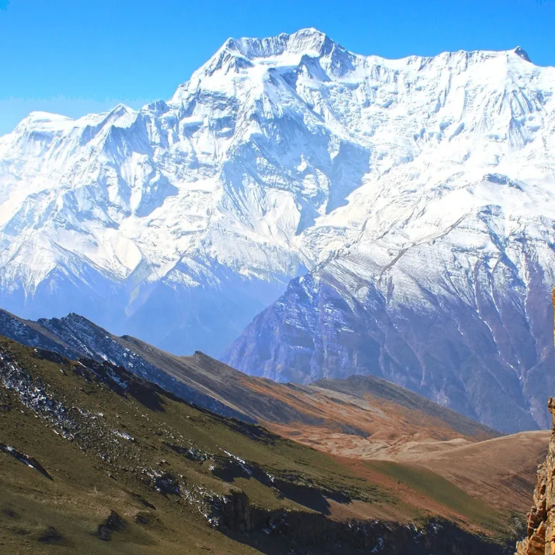 Klicka för att förstora