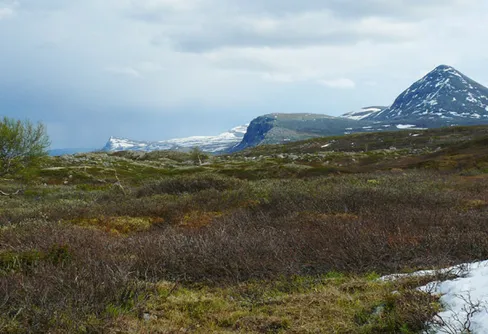 Sarekvandring i snösmältningstider (1)