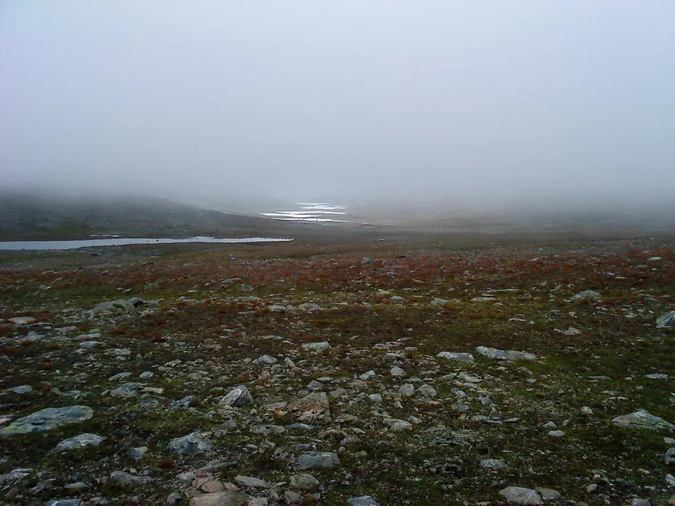 Klicka för att förstora