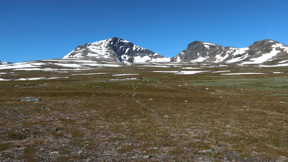 Klicka för att förstora