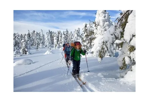 Ny chans att söka utbildning till Naturturismutvecklare