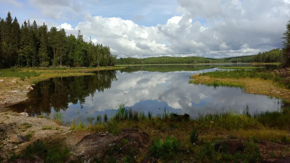Klicka för att förstora