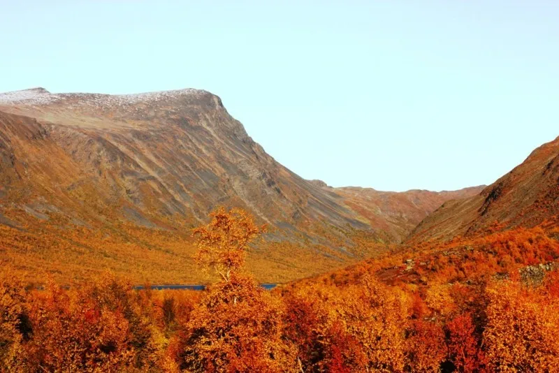 Klicka för att förstora