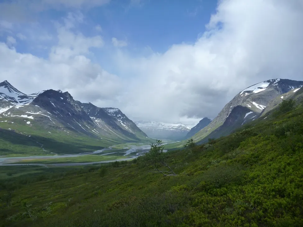 Klicka för att förstora