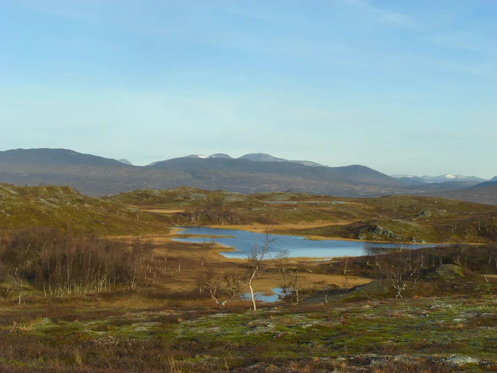 Klicka för att förstora
