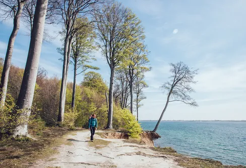Ny statistik: kvinnor, äldre och högutbildade vistas mest i naturen