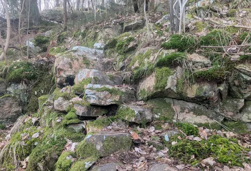 Kondition upp, immunförsvar ner