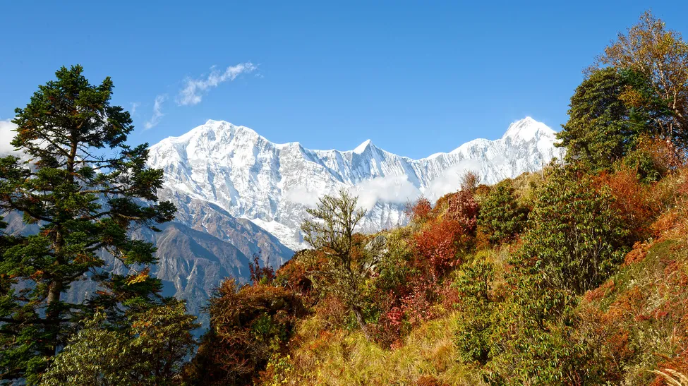 Klicka för att förstora