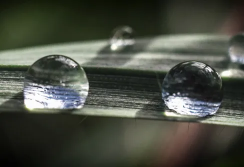 TV-tips - Efter floden