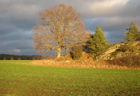 Allemansrätten - inte störa inte förstöra