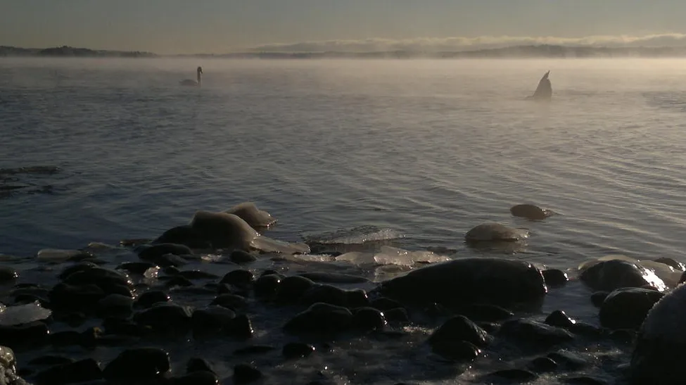 Klicka för att förstora