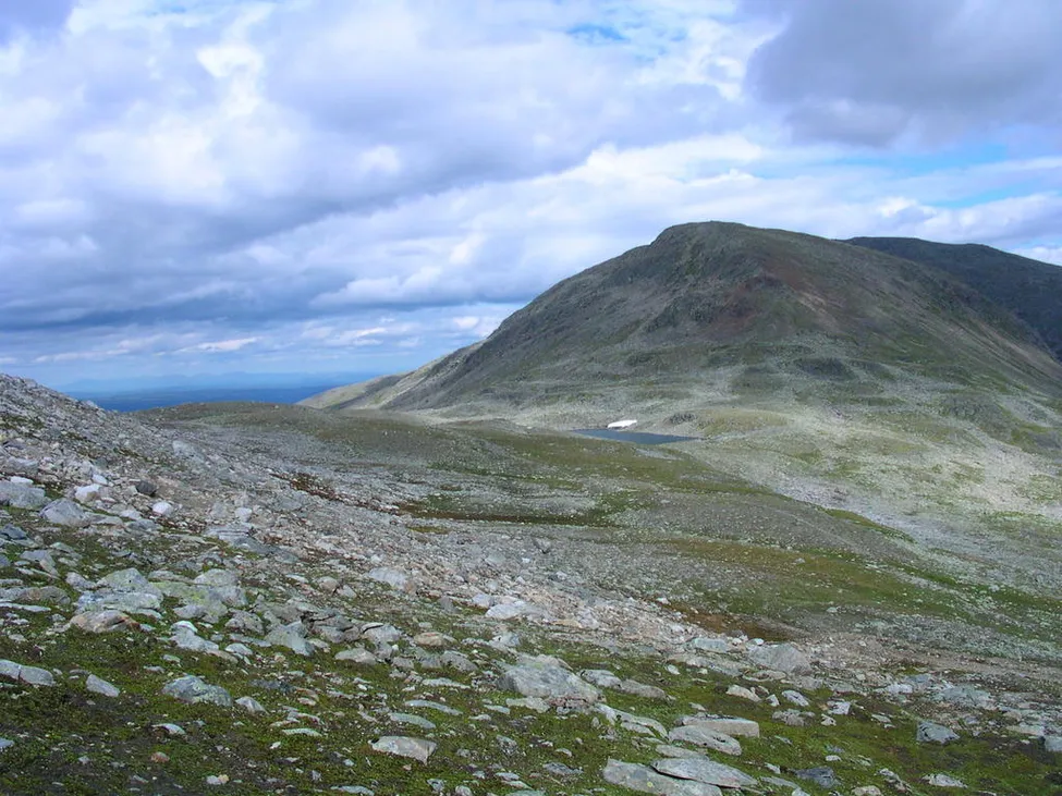 Klicka för att förstora