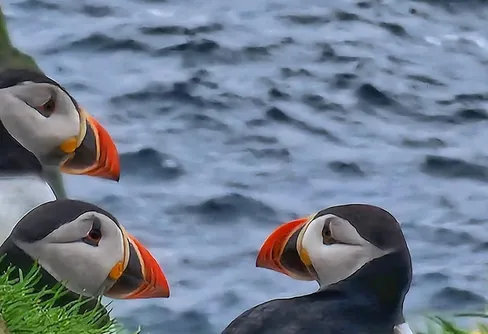 Färöarna Del II:  The Bucket list