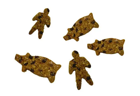 Trevlig lucia med småländskt julbak