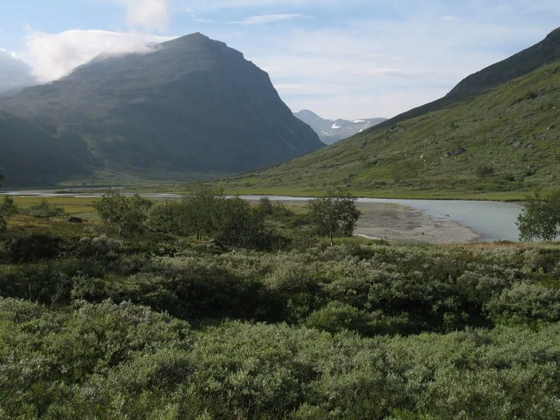 Klicka för att förstora