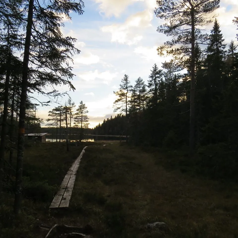 Klicka för att förstora