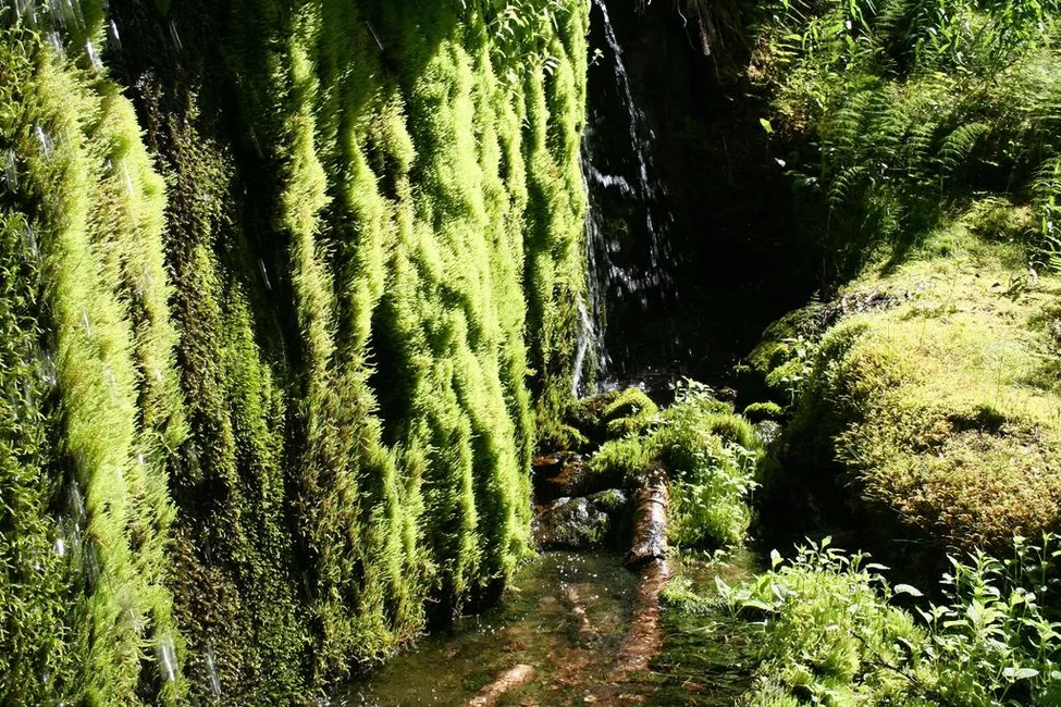 Klicka för att förstora