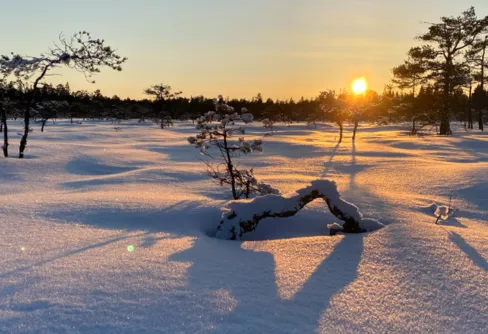 På skidor i ospårad terräng