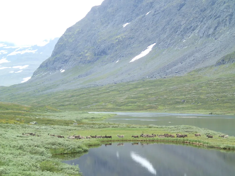 Klicka för att förstora