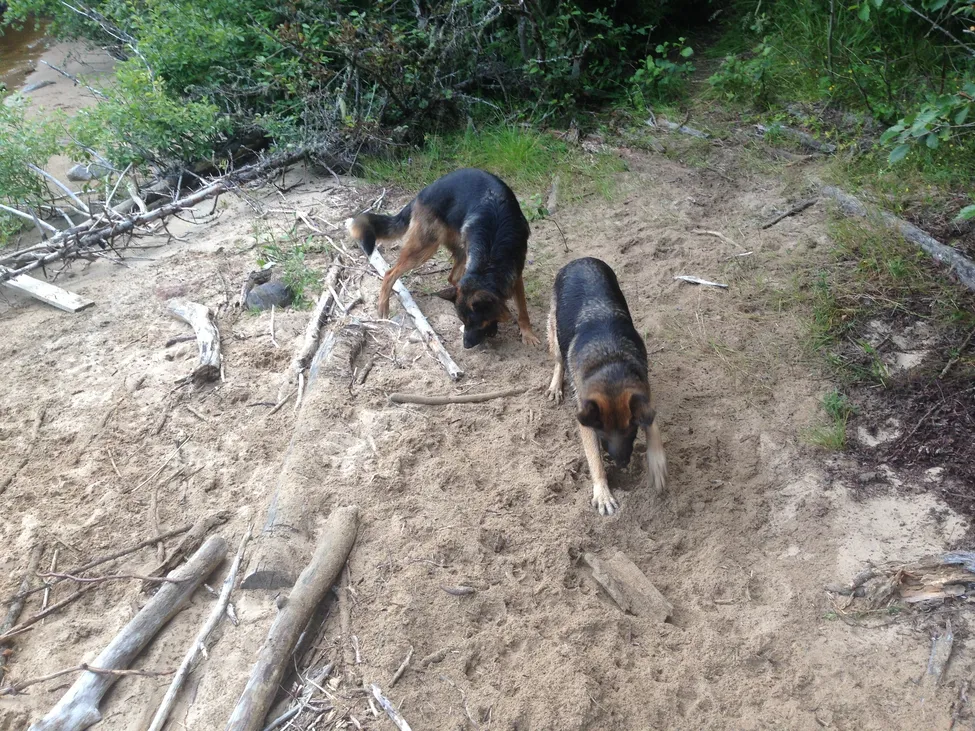 Klicka för att förstora